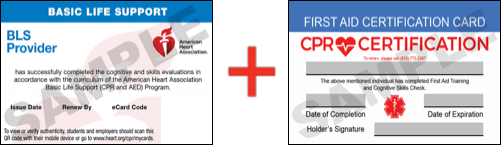 Sample American Heart Association AHA BLS CPR Card Certificaiton and First Aid Certification Card from CPR Certification Boca Raton