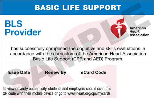 Sample American Heart Association AHA BLS CPR Card Certification from CPR Certification Boca Raton