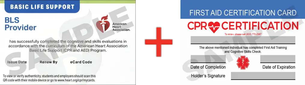 Sample American Heart Association AHA BLS CPR Card Certification and First Aid Certification Card from CPR Certification Boca Raton