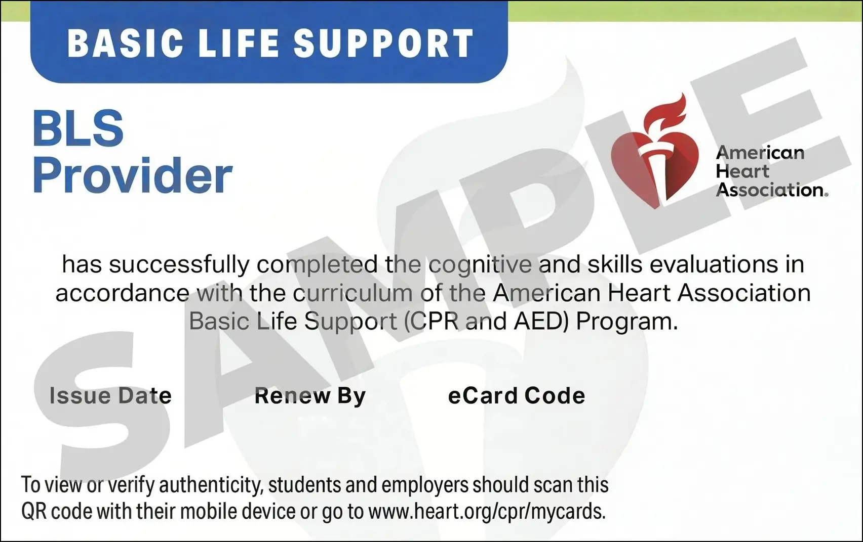 Sample American Heart Association AHA BLS CPR Card Certification from CPR Certification Boca Raton